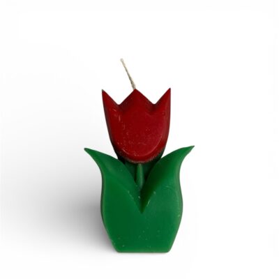 Tulpe Kerze von Kitschi